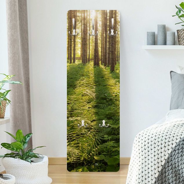 Wall mounted coat rack landscape Sun Rays In Green Forest