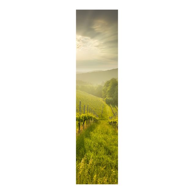 Sliding panel curtains landscape Sunrays Vineyard
