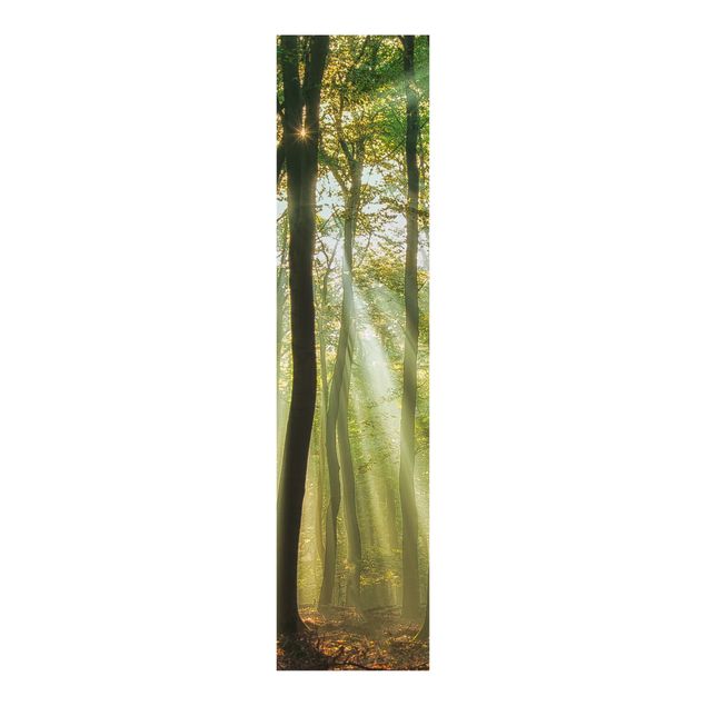 Sliding panel curtains landscape Sunny Day In The Forest