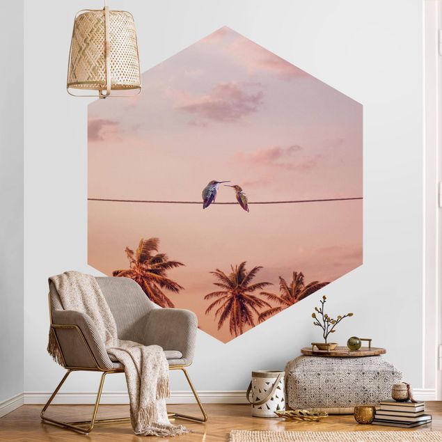 Wallpapers animals Sunset With Hummingbird