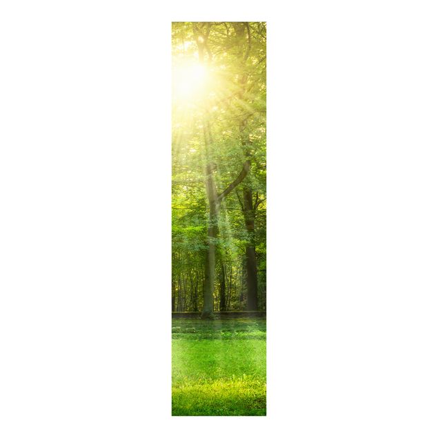 Sliding panel curtains landscape Walk In The Woods