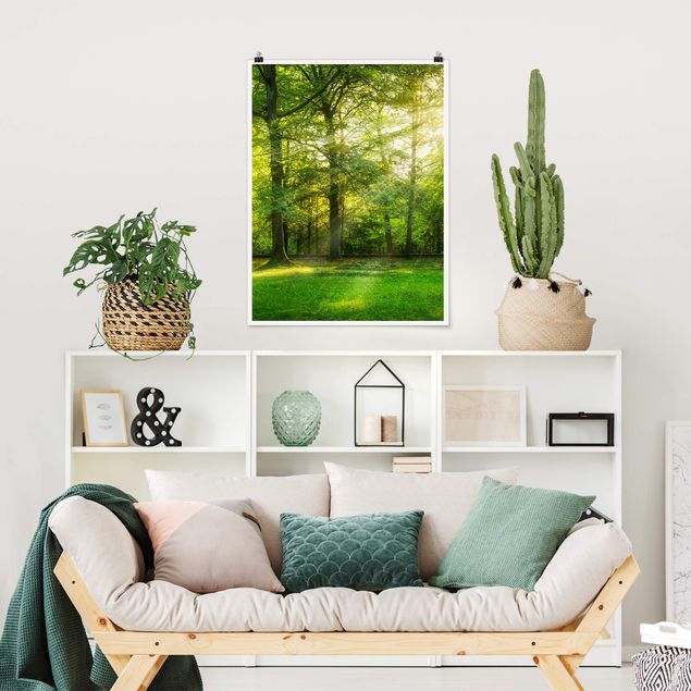 Landscape canvas prints Walk In The Woods