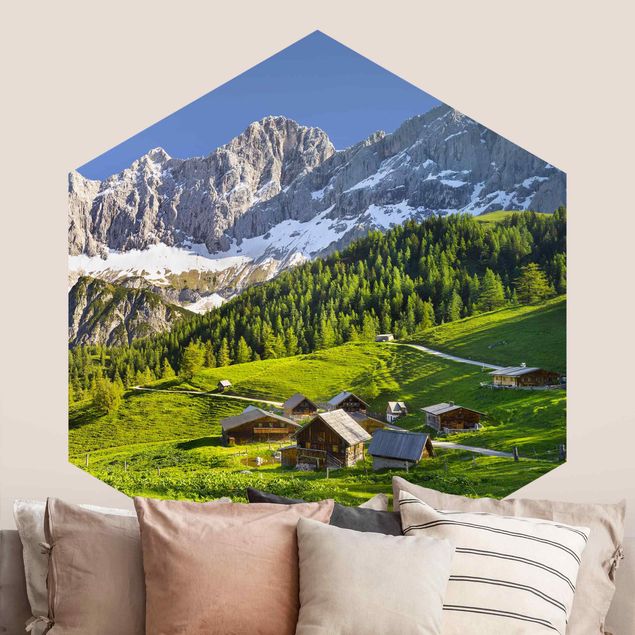 Wallpapers mountain Styria Alpine Meadow