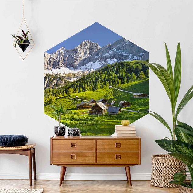 Wallpapers modern Styria Alpine Meadow