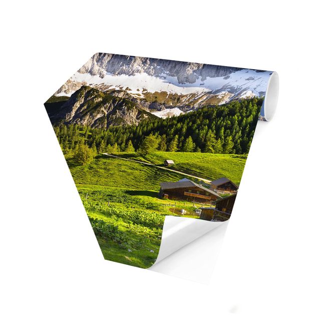 Wallpapers landscape Styria Alpine Meadow
