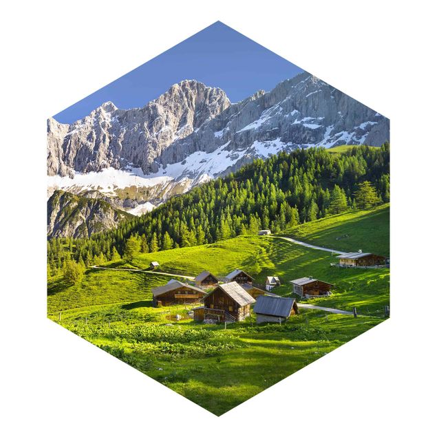 Rainer Mirau Styria Alpine Meadow