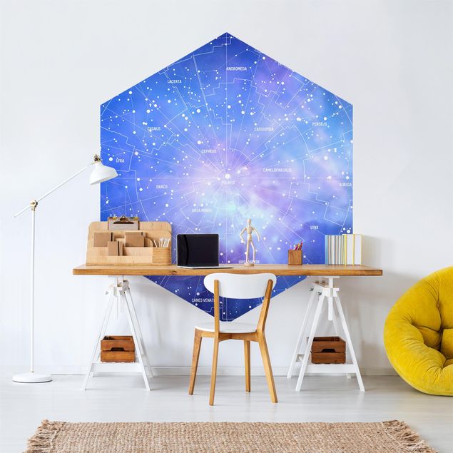 Contemporary wallpaper Stelar Constellation Star Chart