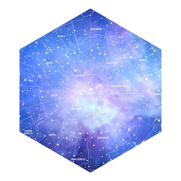 Gray wallpaper Stelar Constellation Star Chart