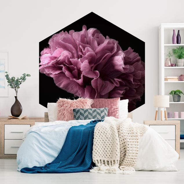 Wallpapers modern Proud Peony In Front Of Black