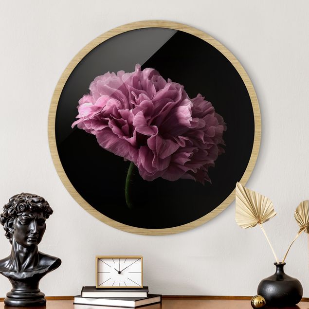 Floral canvas Proud Peony In Front Of Black