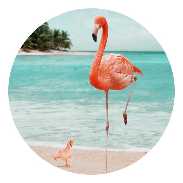 Wallpaper caribbean Beach With Flamingo