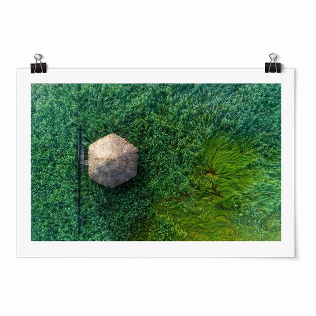 Landscape poster prints Straw Hut In High Reed
