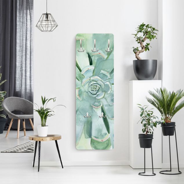Wall mounted coat rack Succulent Plant Watercolour Light Coloured