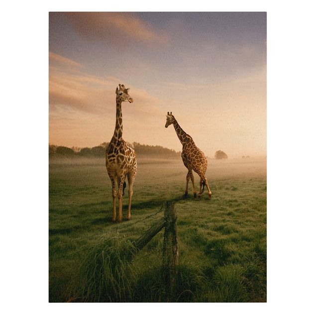 African wall art canvas Surreal Giraffes