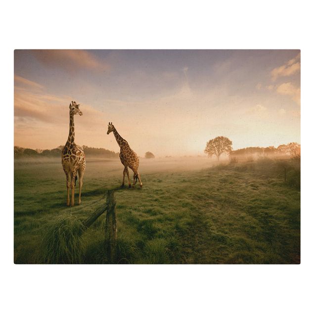 African canvas art Surreal Giraffes
