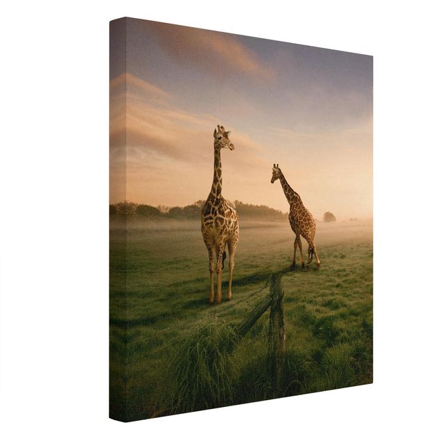 Animal canvas Surreal Giraffes