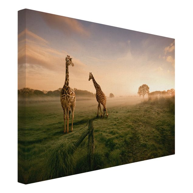 Prints animals Surreal Giraffes