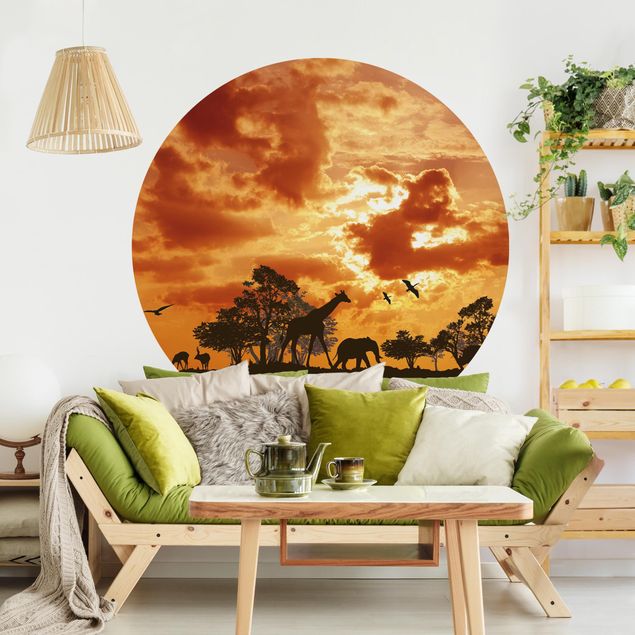 Wallpapers elefant Tanzania Sunset