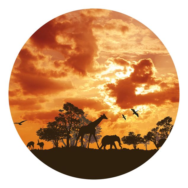 Wallpapers giraffe Tanzania Sunset