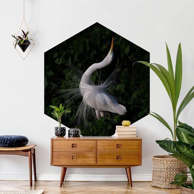 Modern wallpaper designs Dancing Egrets In Front Of Black