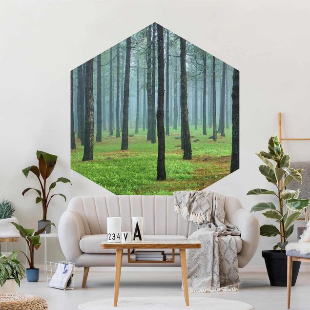 Wallpapers landscape Deep Forest With Pine Trees On La Palma