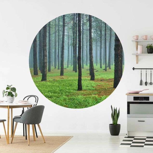Modern wallpaper designs Deep Forest With Pine Trees On La Palma