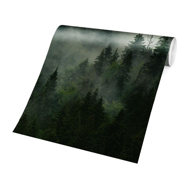 Wallpapers green Deep Green Fir Forest In The Fog