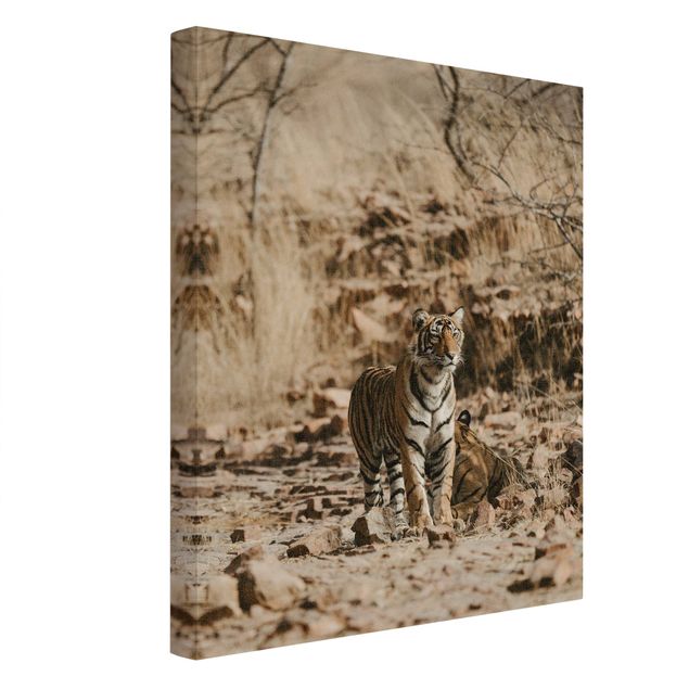 Animal canvas art Tiger In The Wild