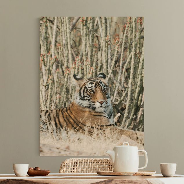 Tiger canvas art Tiger With Cacti
