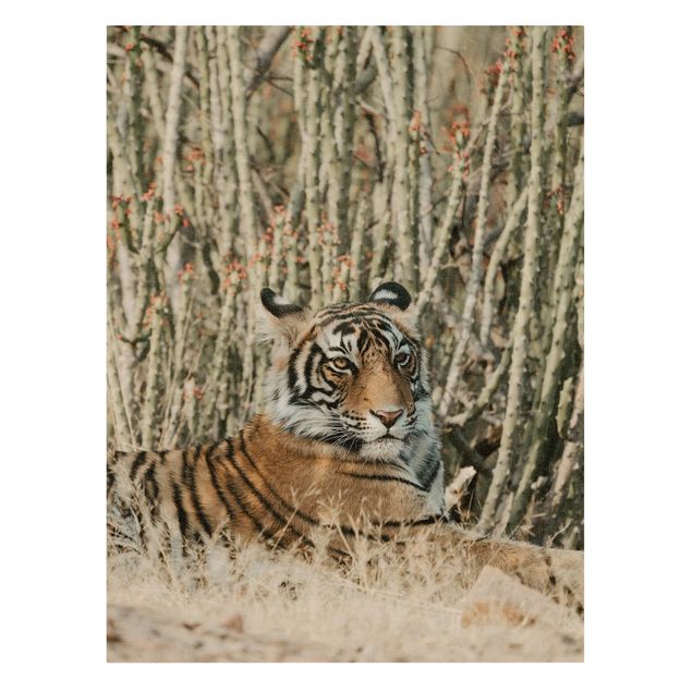 Contemporary art prints Tiger With Cacti