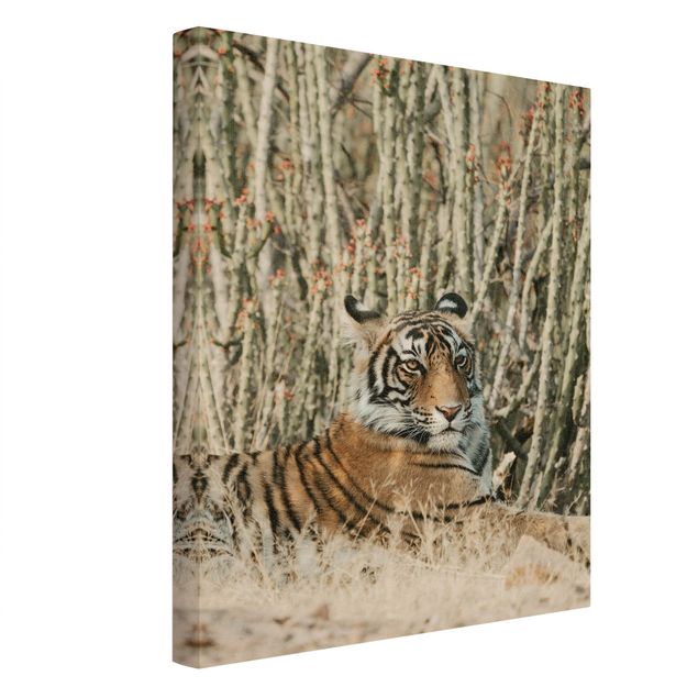 Canvas prints animals Tiger With Cacti