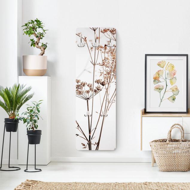 Wall mounted coat rack brown Dried Flower With Light And Shadows