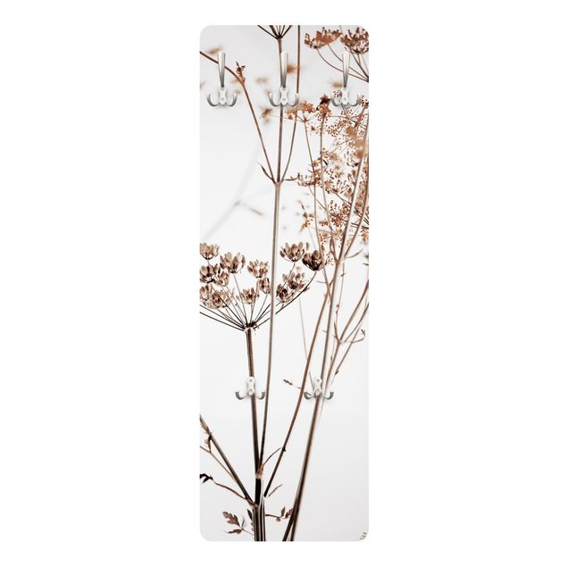Wall coat hanger Dried Flower With Light And Shadows