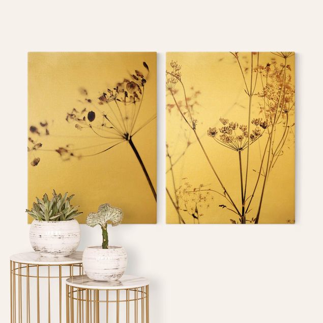 Canvas prints grasses Dried Flowers Set