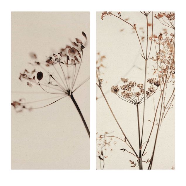 Monika Strigel Art prints Dried Flowers Set