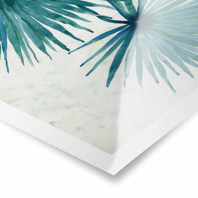 Prints Tropicl Palm Leaves Close-up