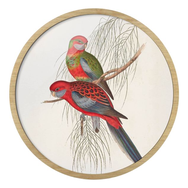 Red print Tropical Parrots III