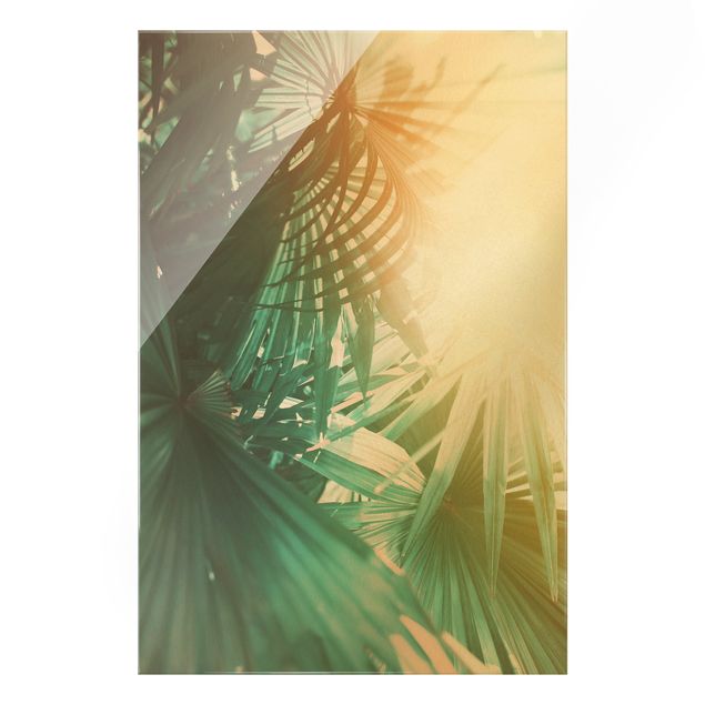 Prints floral Tropical Plants Palm Trees At Sunset