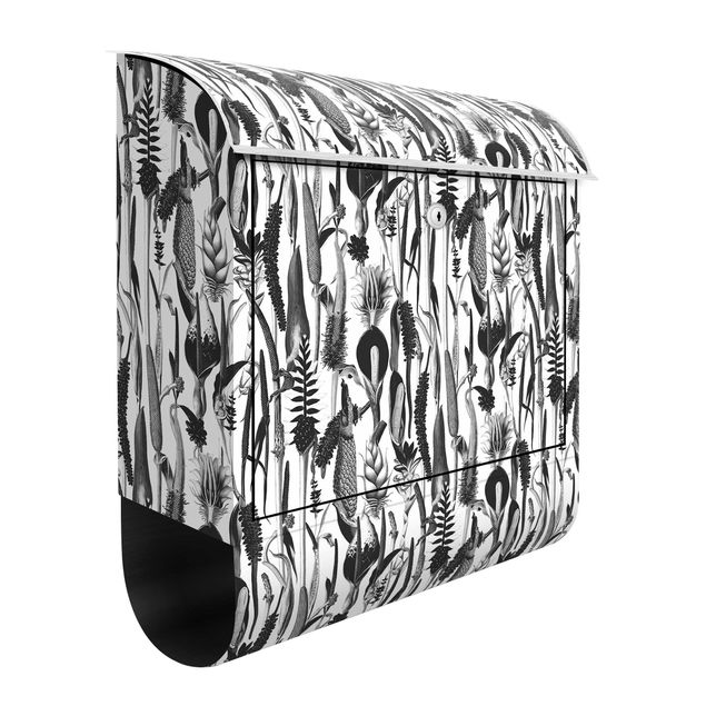Letterboxes flower Tropical Luxury Pattern Black And White