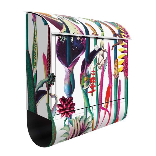 Letterboxes flower Tropical Luxury Pattern XXL