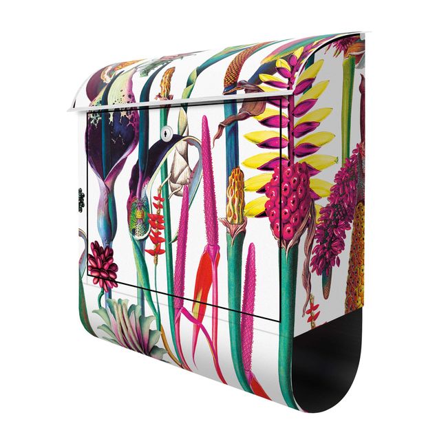 Letterboxes Tropical Luxury Pattern XXL