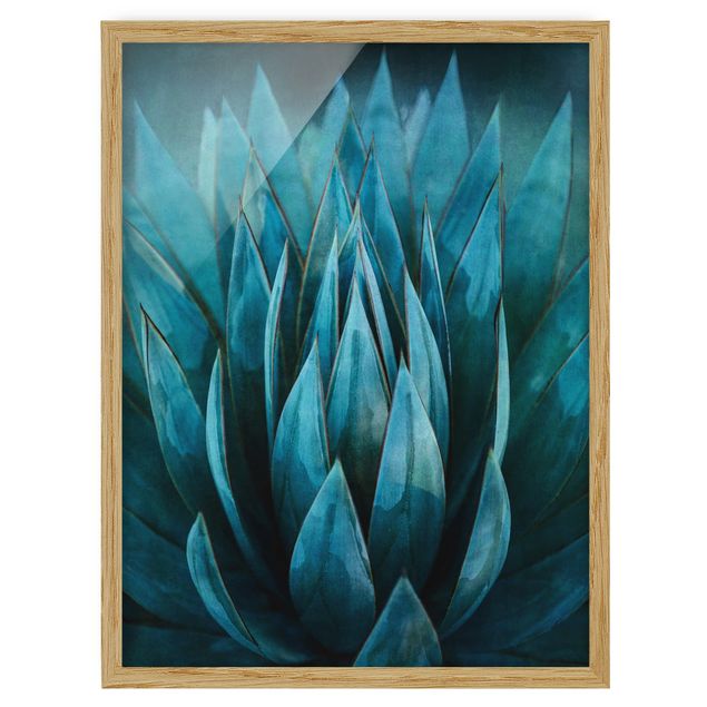 Flowers framed Turquoise Succulents