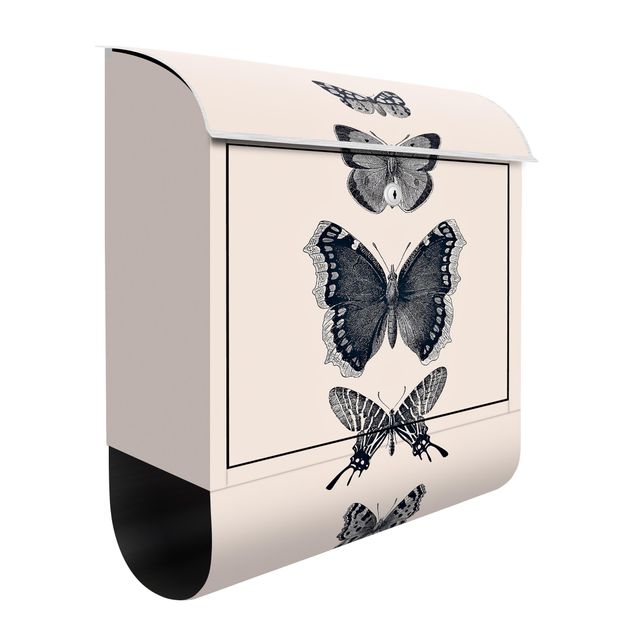 Letterboxes animals Ink Butterflies On Beige Backdrop