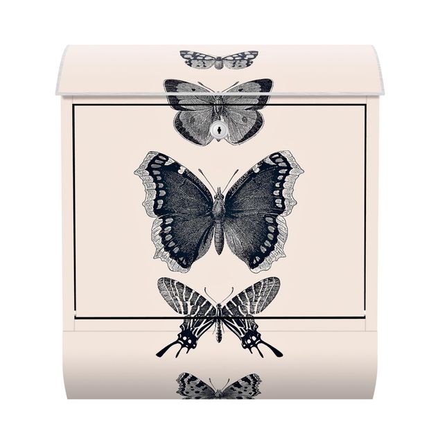 Letterboxes creme Ink Butterflies On Beige Backdrop