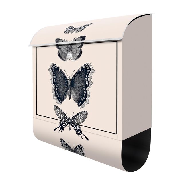 Anthracite grey post box Ink Butterflies On Beige Backdrop