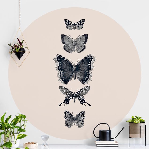 Kitchen Ink Butterflies On Beige Backdrop