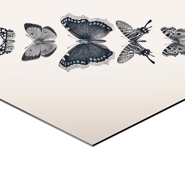Prints Ink Butterflies On Beige Backdrop