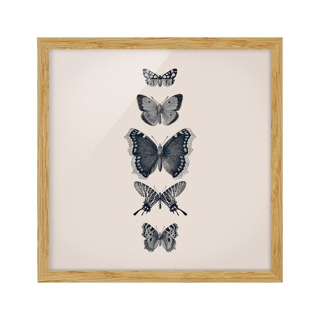 Contemporary art prints Ink Butterflies On Beige Backdrop