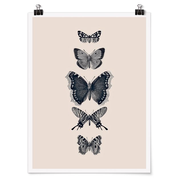 Prints modern Ink Butterflies On Beige Backdrop