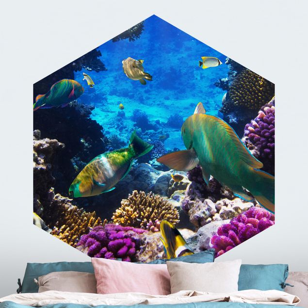 Wallpapers fishes Underwater Dreams